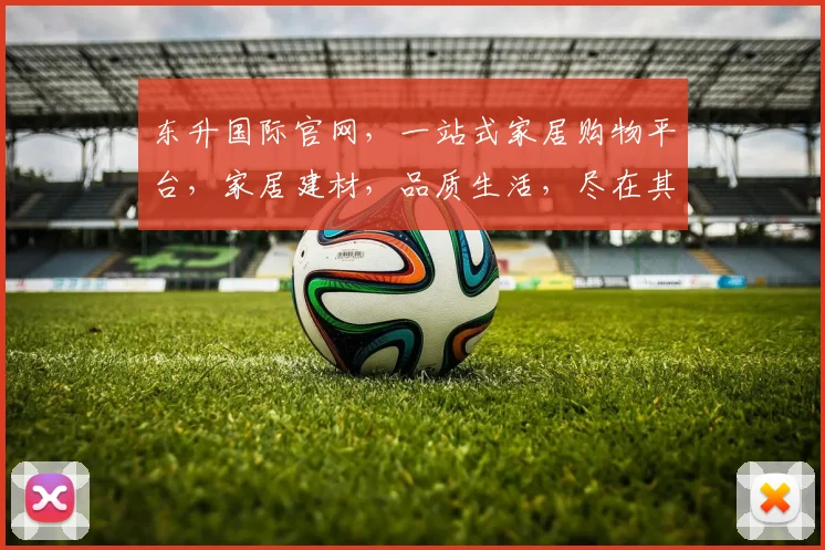 东升国际官网，一站式家居购物平台，家居建材，品质生活，尽在其中，惊喜不断