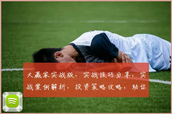 大赢家实战版，实战技巧分享，实战案例解析，投资策略攻略，助你赢在起跑线上