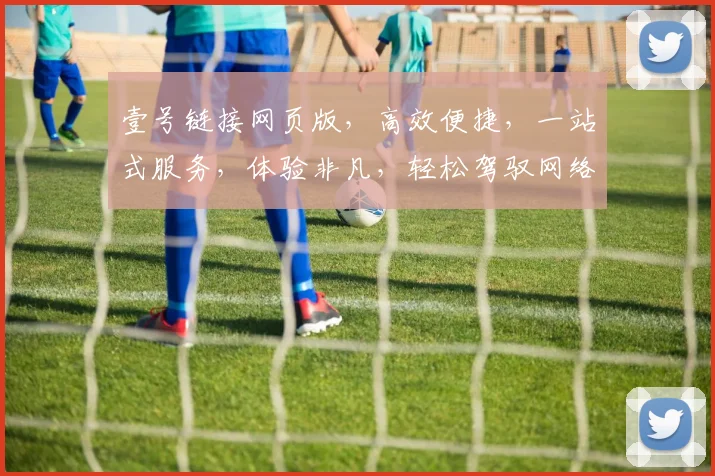 壹号链接网页版，高效便捷，一站式服务，体验非凡，轻松驾驭网络世界，助力成功