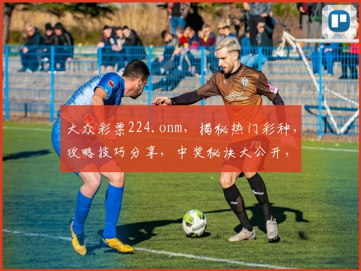 大众彩票224.onm，揭秘热门彩种，攻略技巧分享，中奖秘诀大公开，必看攻略