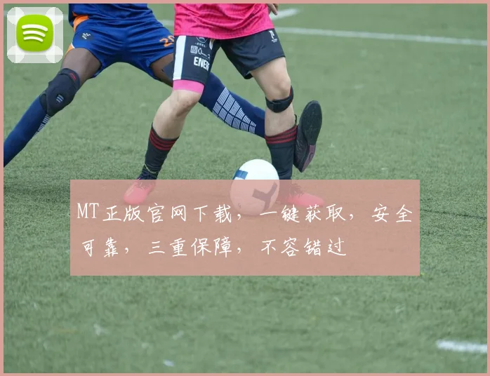 MT正版官网下载，一键获取，安全可靠，三重保障，不容错过